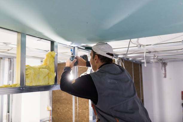 Best Residential Insulation in Gorevle, IL