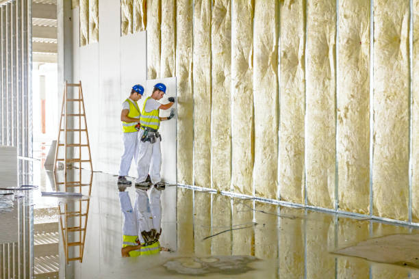 Best Insulation Materials and Products in Gorevle, IL